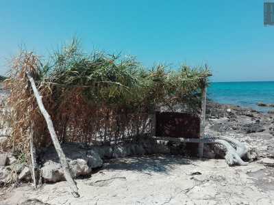 Anche qui notiamo una capannina, pi� piccola della prima ma comunque accogliente: oltre ai tronchi e alle palme una serie di voluminose pietre formano, poste in semicerchio, una sorta di panchina che ci permette qualche minuto di riposo prima di continuare la nostra camminata
